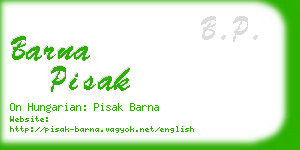 barna pisak business card